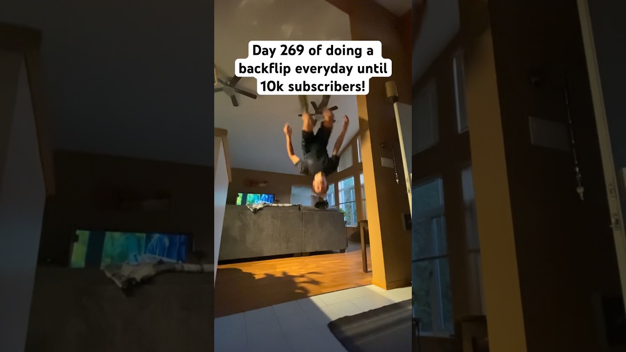 Backflip off a couch | Day 269