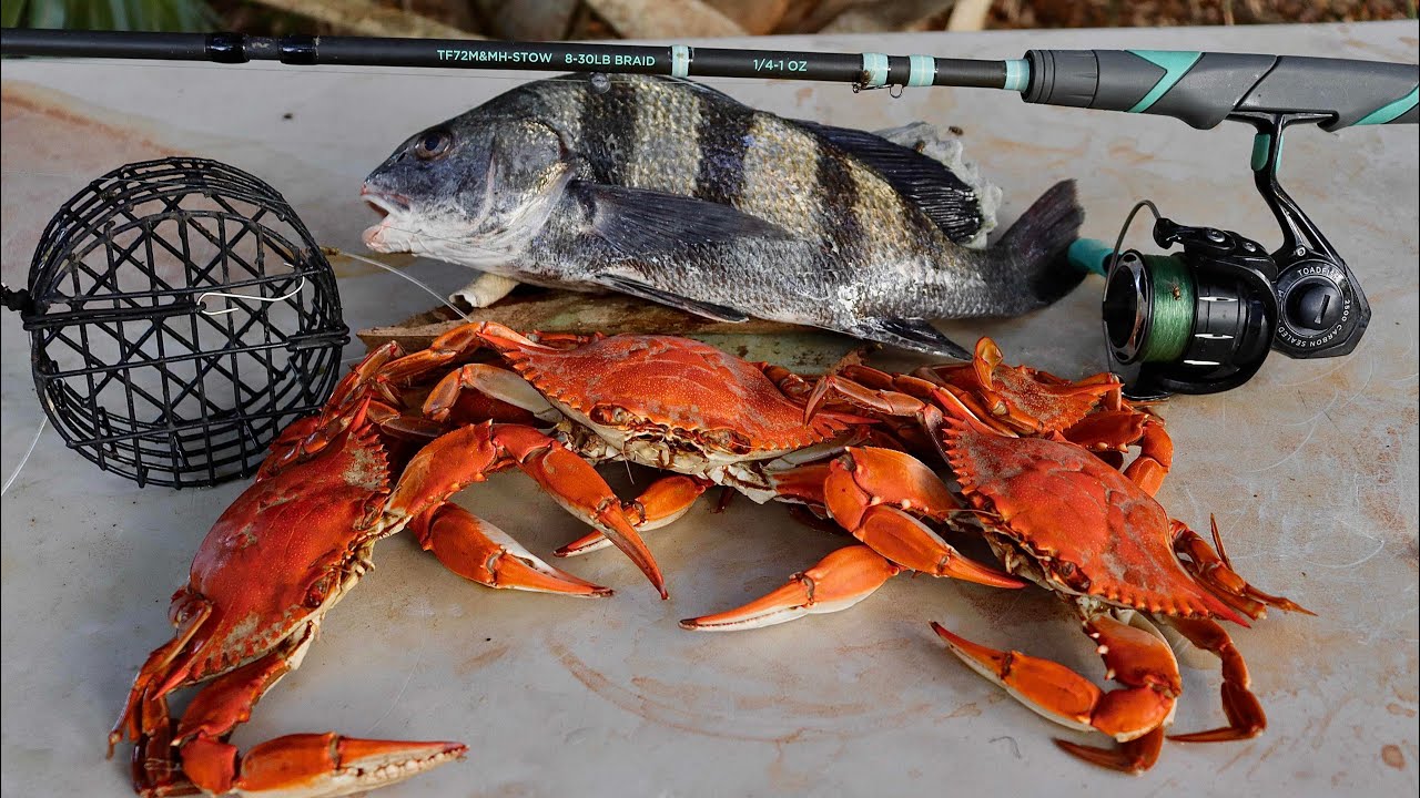Black Drum & Blue Crab Catch n' Cook 2 DAYS at the Coast!