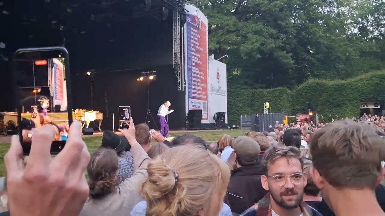 Konzer im Stadtpark am 70ten von @Helgeshow 