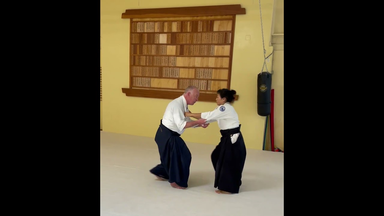 Iriminage with Bruce Bookman Shihan