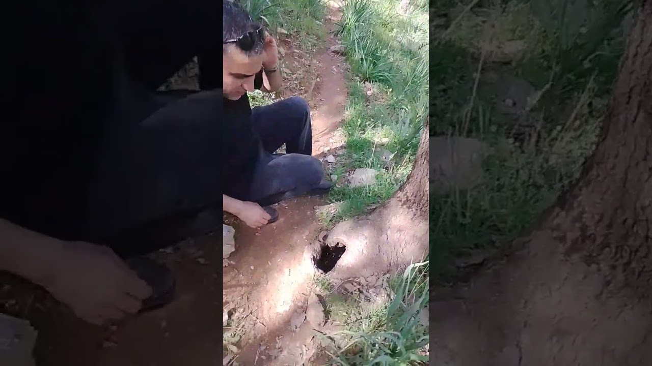 Kahramanmaraş Türkoğlu Küçükimalı köyü (zahran kayaları)