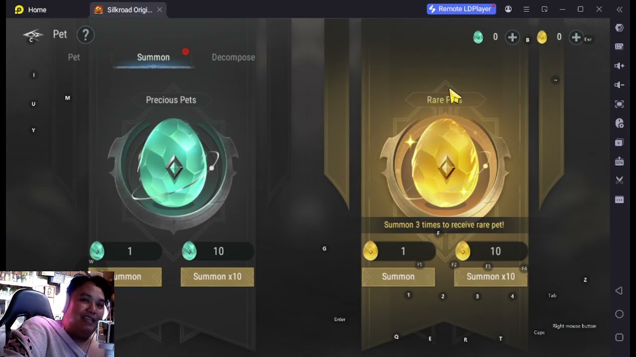 Silkroad Origin Mobile PET Guide