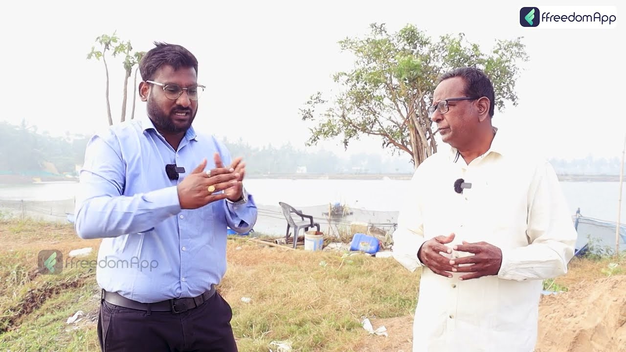 Fish Farming In Telugu - How To Start Fish Farming | Kaikaluru Fish Farming | Chepala Cheruvu