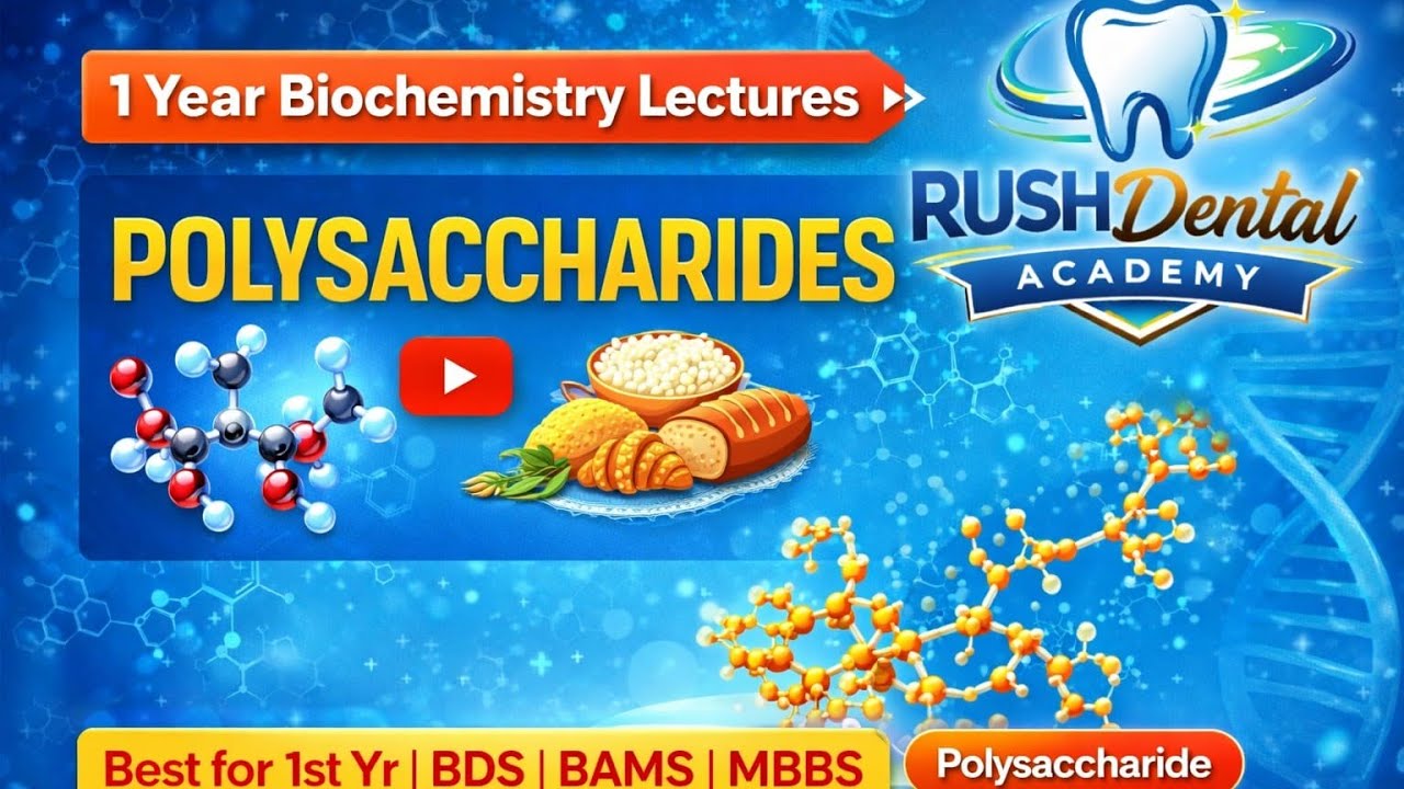 “Polysaccharides Explained with Examples | Medical Biochemistry”
