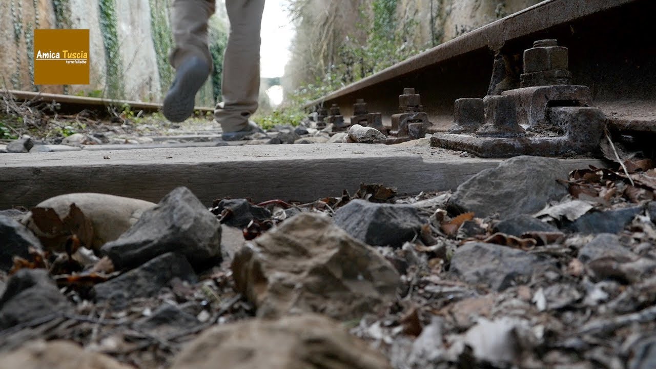 Ferrovia turistica  Civitavecchia Capranica Orte: un passo avanti+798visualizzazioni  sito