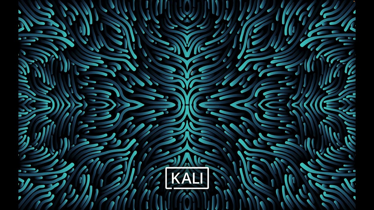 Kali Linux အသုံးပြုခြင်း