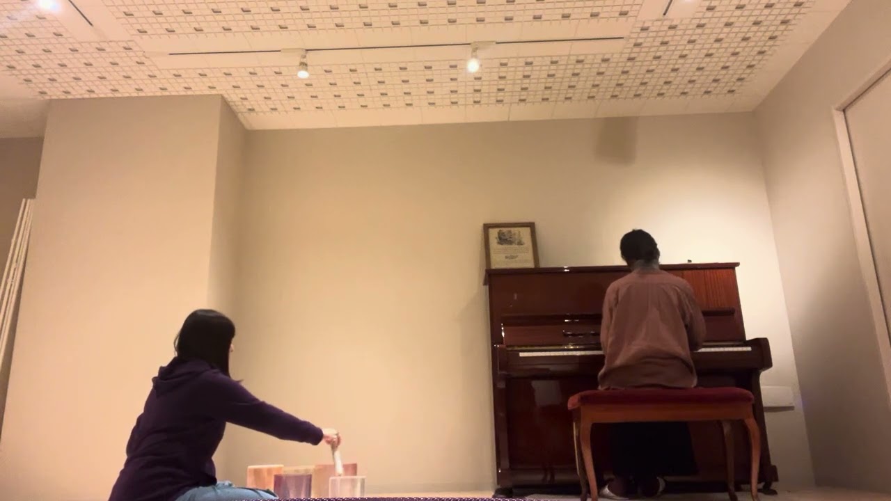Piano and Crystal Bowls play the song Requiem  by S.E.N.S