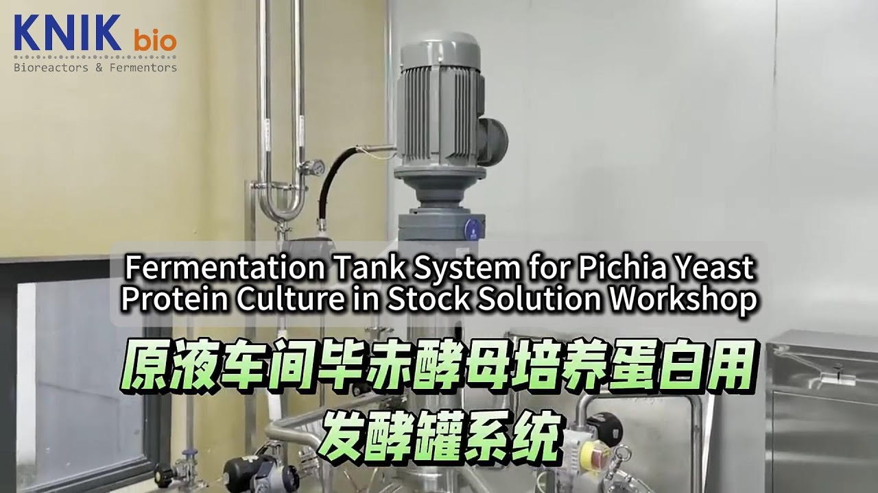 Fermentation Tank Use: Pichia yeast protein culture in stock liquid workshop #fermenter #bioreactor