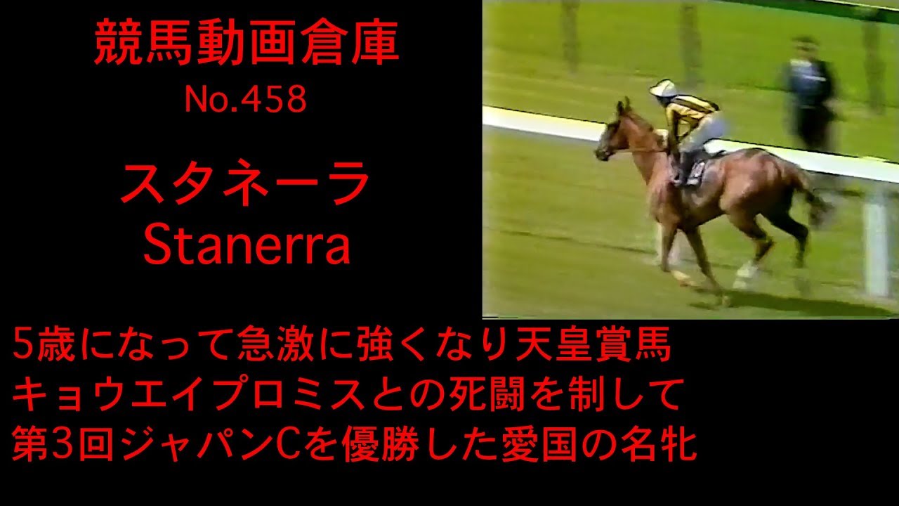 【競馬】スタネーラ　Stanerra【No 458】