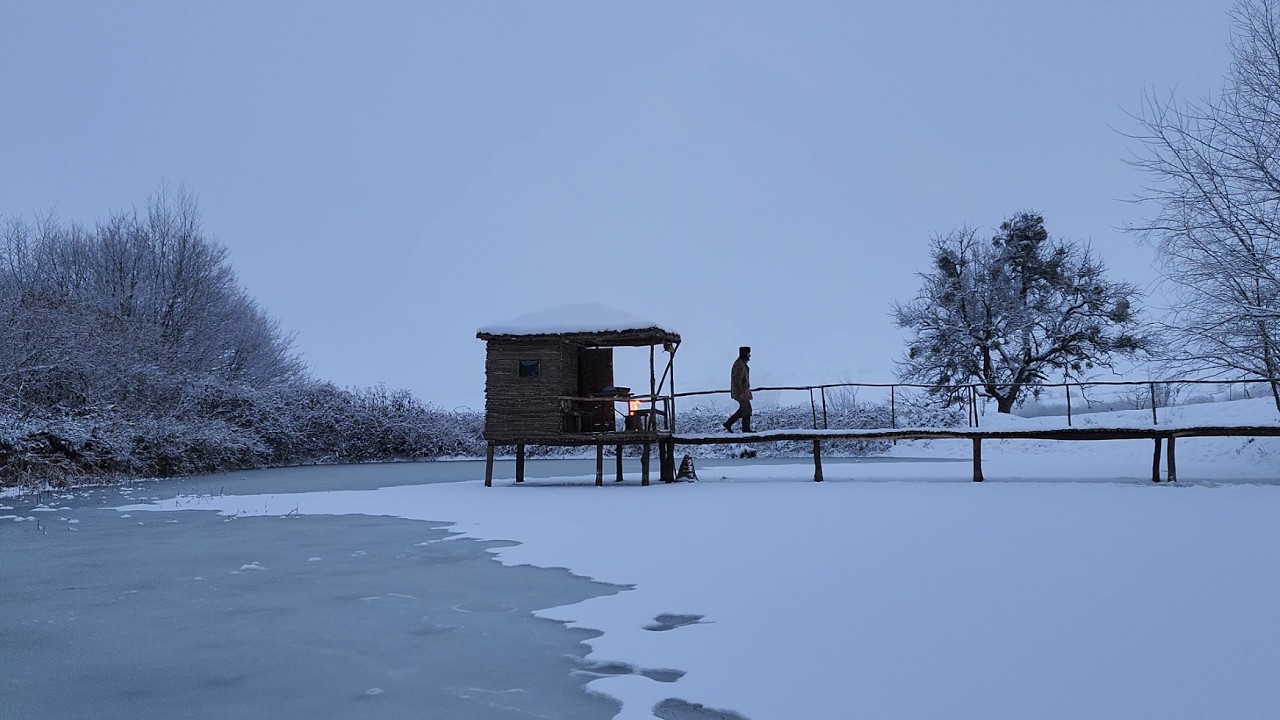 A very cold winter holiday in a hut in the company of beloved puppies!!