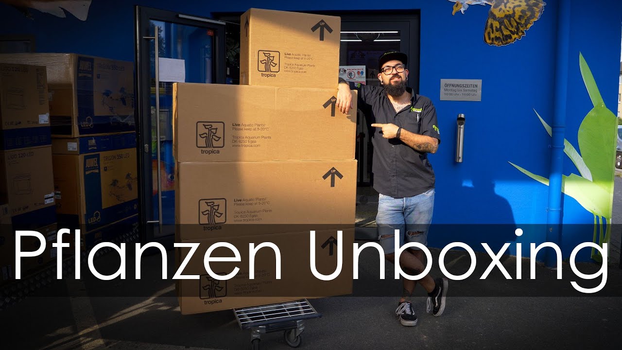 Pflanzen-Unboxing XXL | Aquado-Zoo Dortmund