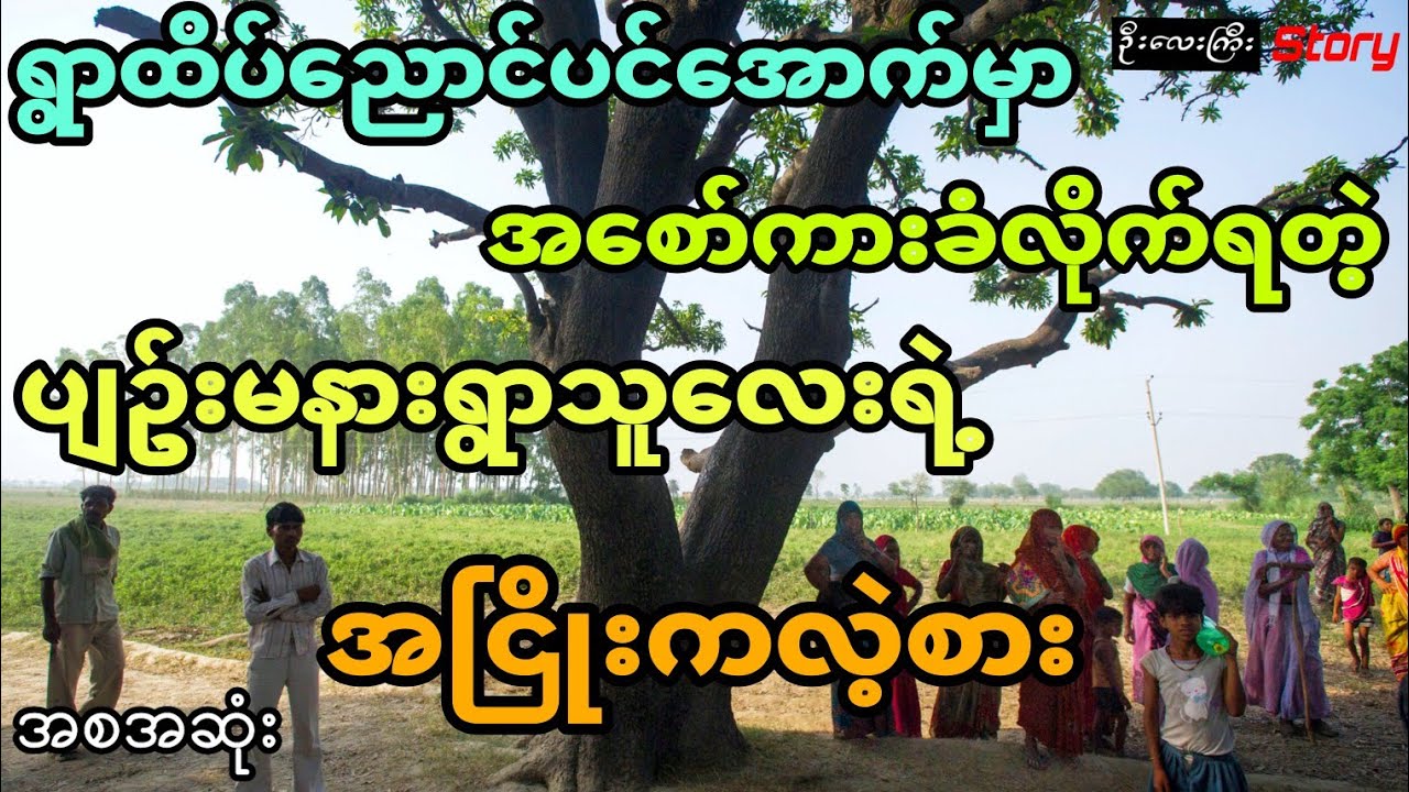 ရွာထိပ်ညောင်ပင်အောက်က ပျဥ်းမနားသူလေးရဲ့အဖြစ်ဆိုး (အစအဆုံး)