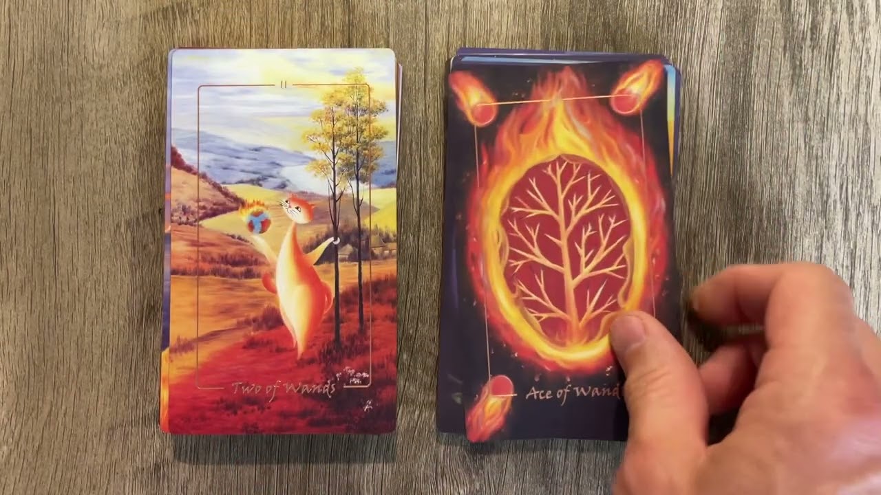 Feline Rider Tarot - New Release! Unboxing and review