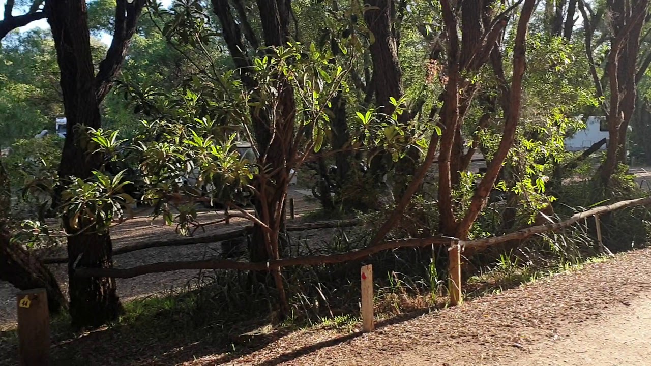 Parry's Beach campground