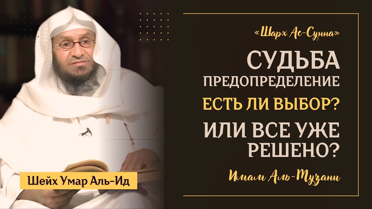 Все УЖЕ РЕШЕНО или У НАС ЕСТЬ ВЫБОР? | Предопределение | «Шарх ас-Сунна» Имама аль-Музани | Часть 5