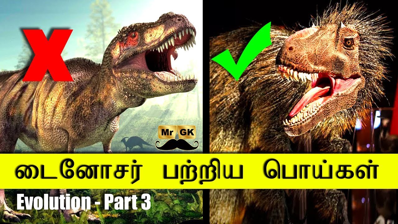 Evolution Part 3 - Myths about dinosaurs | டைனோசர் பற்றிய பொய்கள் | Facts about dinosaur | Mr.GK