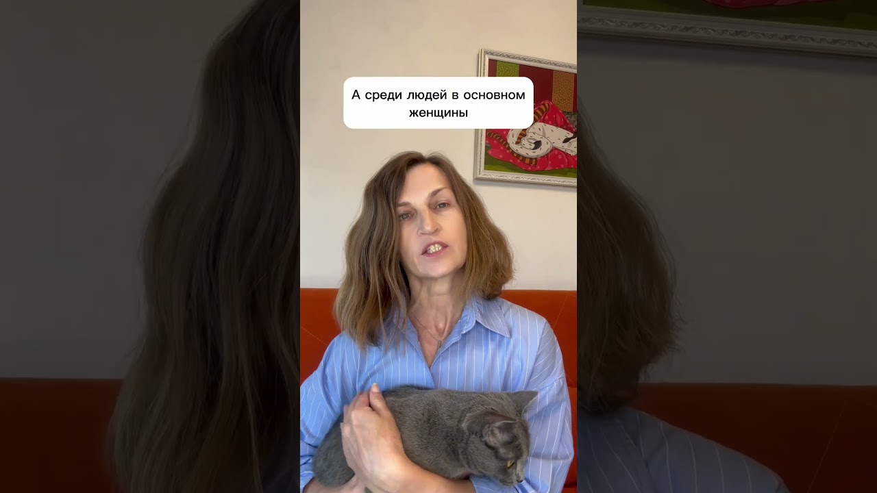 Идиопатический цистит у кошек #зоопсихолог