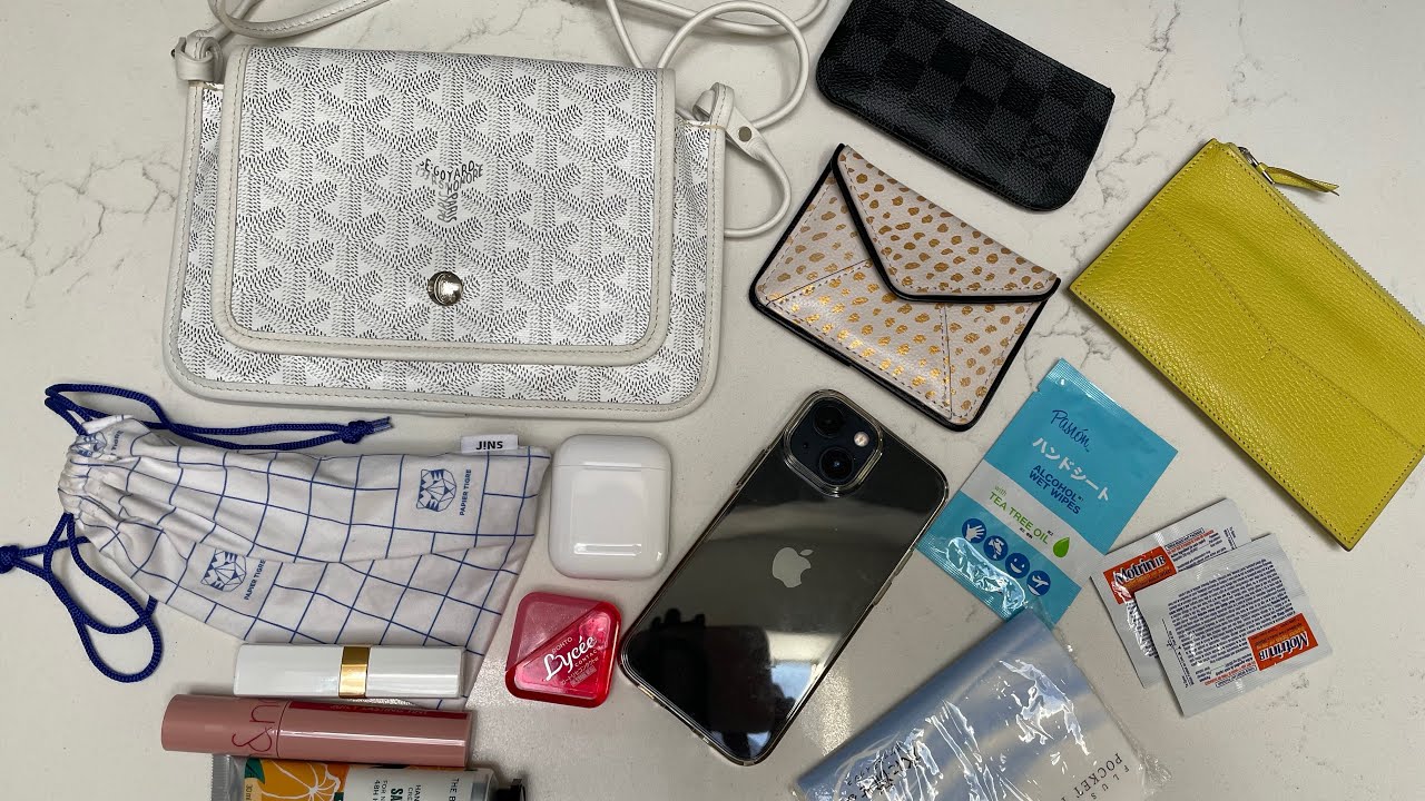 What fits inside the Goyard Plumet?
