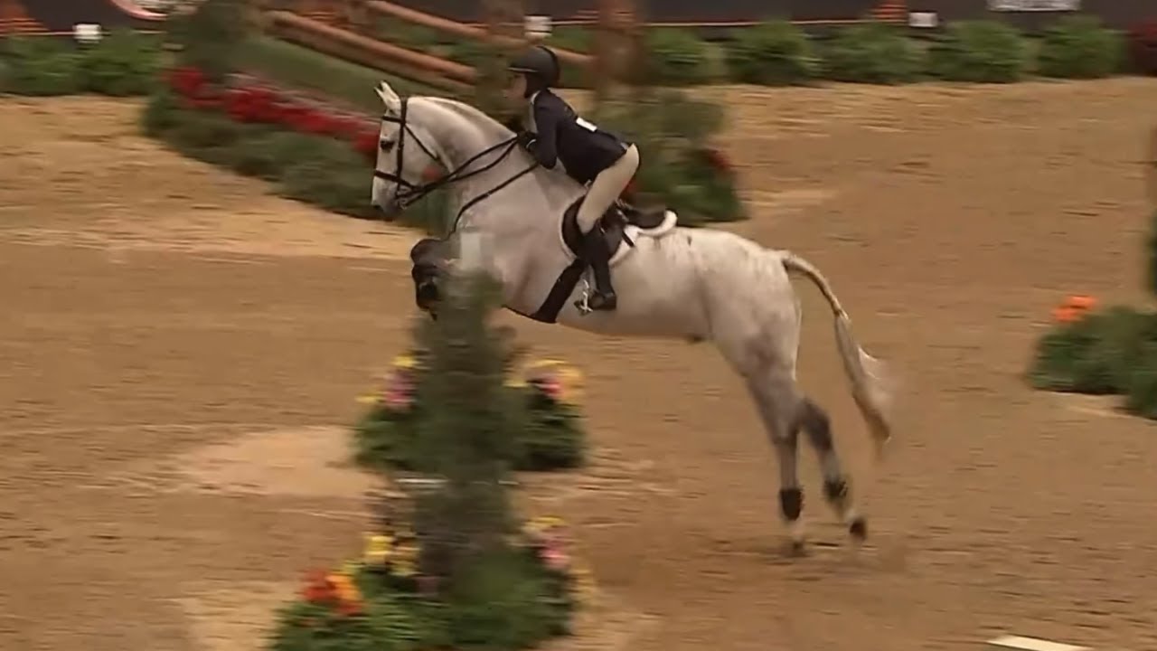 ASPCA Maclay Finals 3'6", Cicerano Z