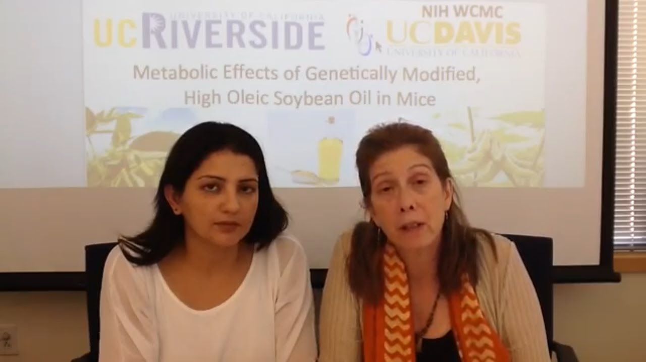 Can a Genetically-modified Soybean Actually have Positive Health Effects?