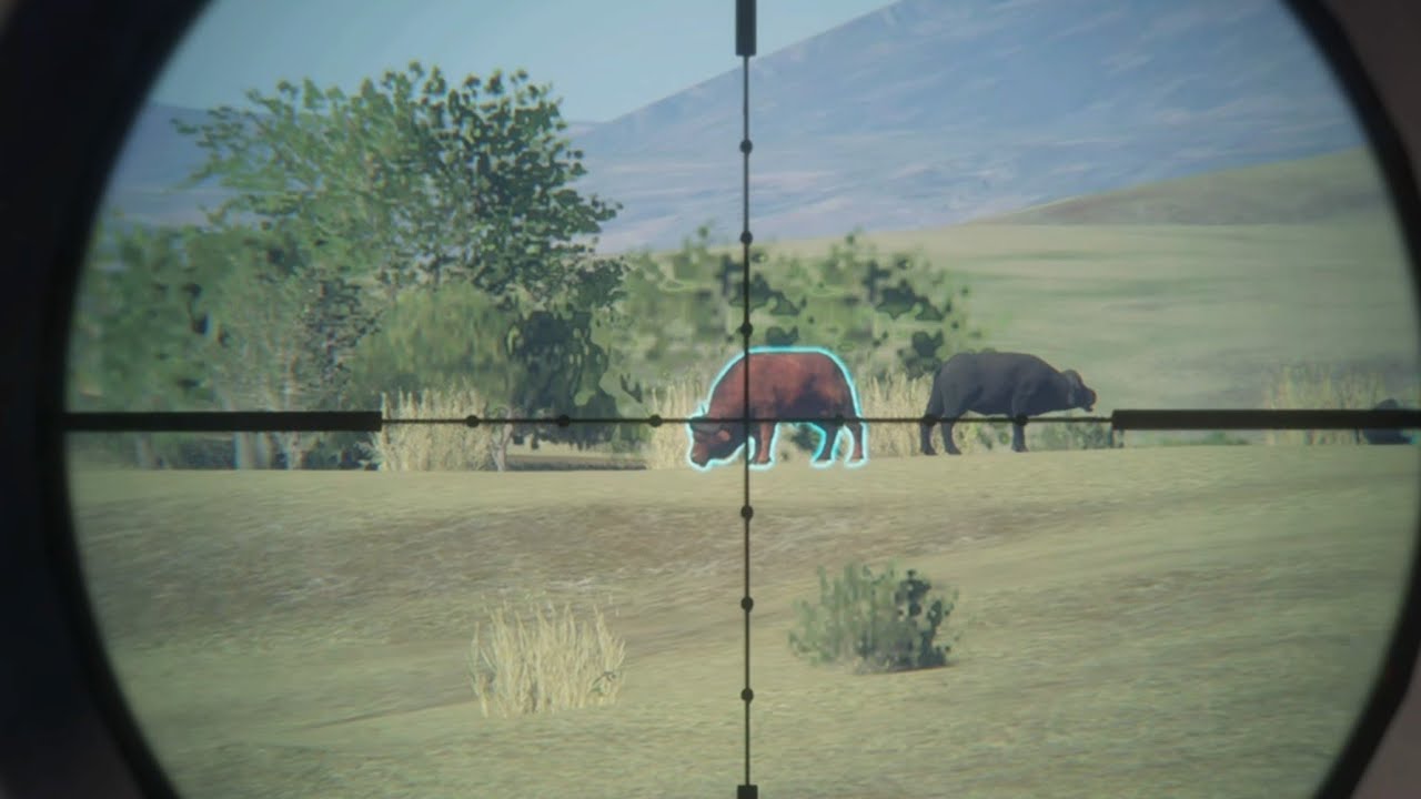 The hunter COTW