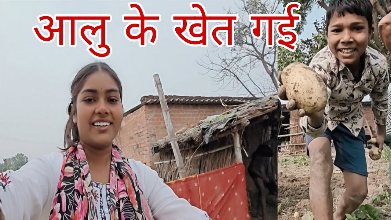 आलु के खेत गई ||