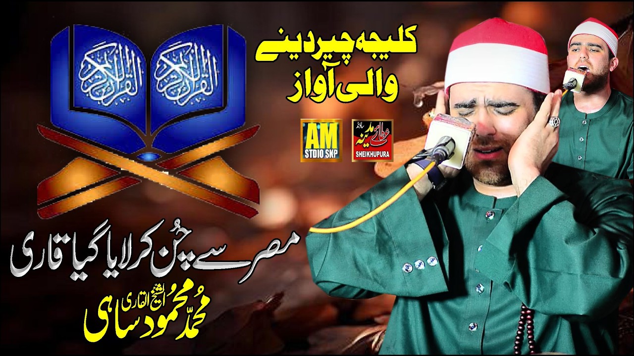 Tilawat - Quran Pak Recitation Really Beautiful || Best Quran Tilawat || Qari Muhmmad Mehmood