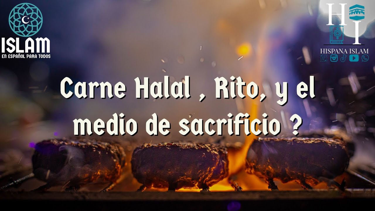 la forma de sacrificio? Que es la carne halal ? Animales permitido consumir cuales son ? #animales