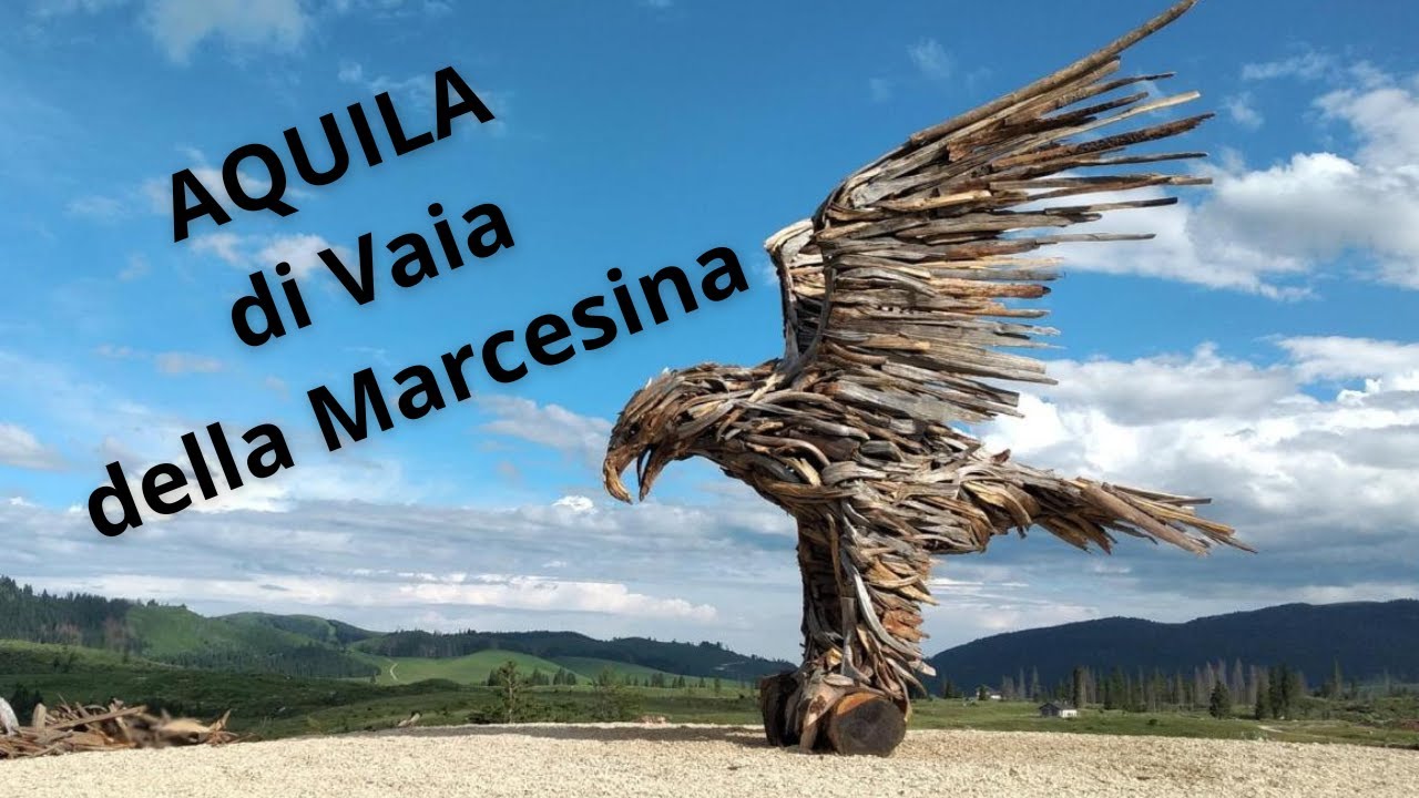 Aquila di Vaia