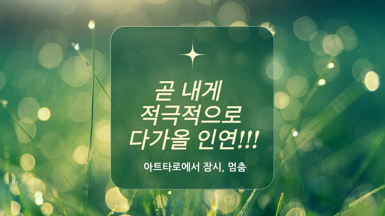 [타로연애운] 곧 내게 적극적으로 다가 올 인연🌻🌻🌻  #타로 #타로연애운 #타로카드 ##타로애정운 #tarot