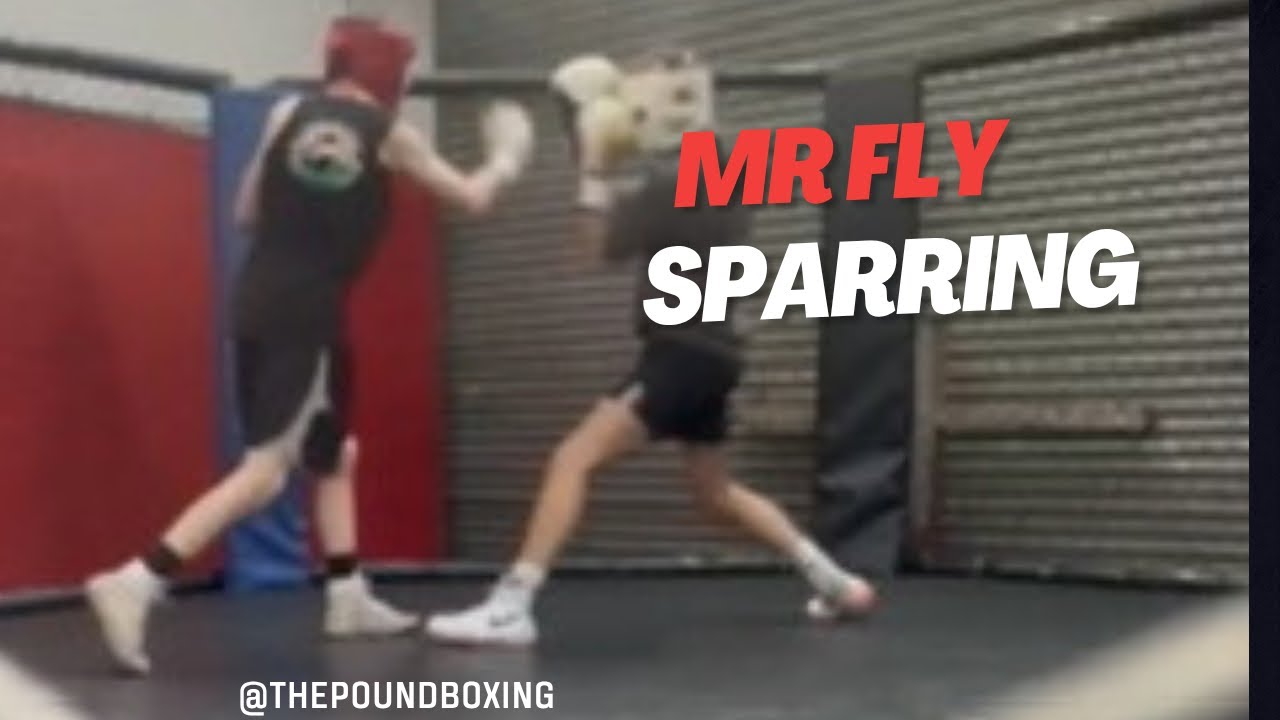Mr fly sparring lads from different gyms #boxing #motivation #fitness #sports 
