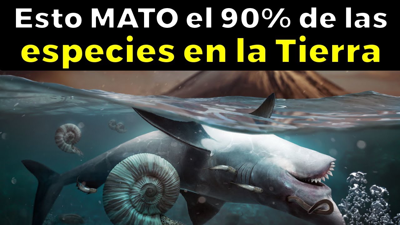 As&iacute; fue la &laquo;Gran Muerte&raquo;, estuvo a punto de aniquilar toda la vida - Extinci&oacute;n masiva del P&eacute;rmico