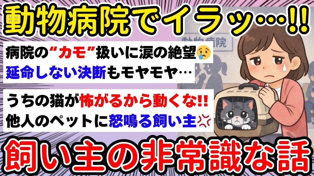 動物病院の非常識客 限界突破の怒りの本音【ガルちゃんまとめ】