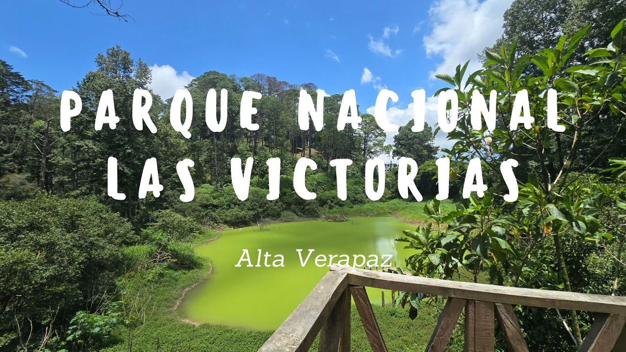 Conociendo Guate | Parque Nacional Las Victorias | Alta Verapaz