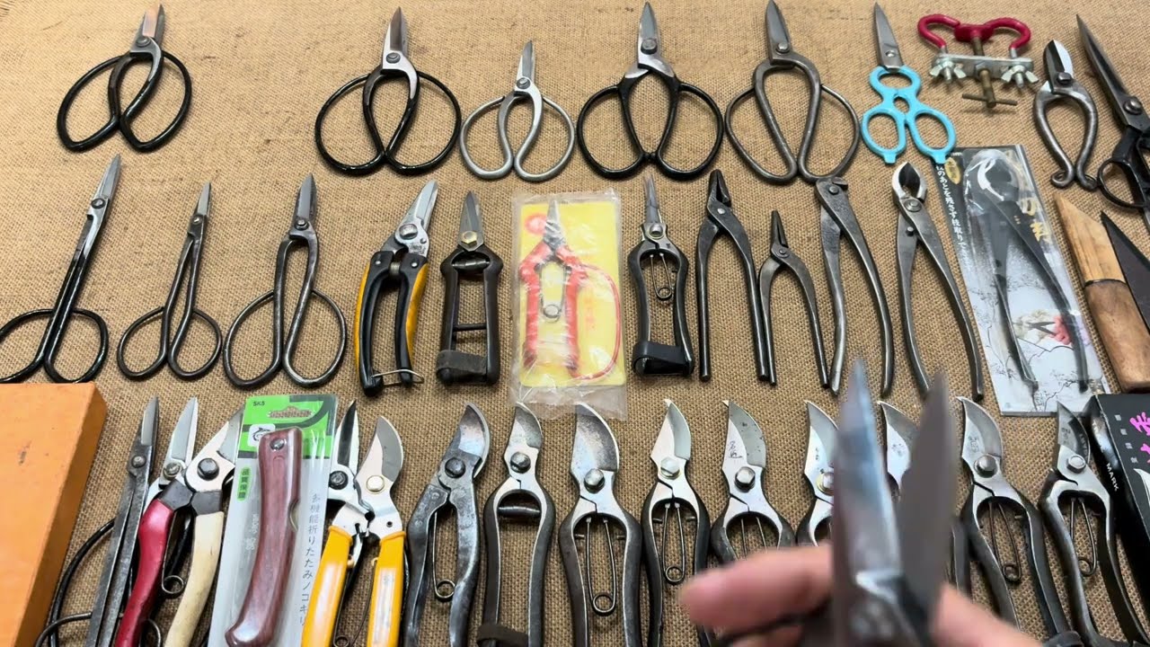 Clip số 5 Dụng cụ bãi Nhật. Đồ nghề Bonsai #0376628645 #dungcubonsai #hàngnhậtbãi #hàngbãinhật 