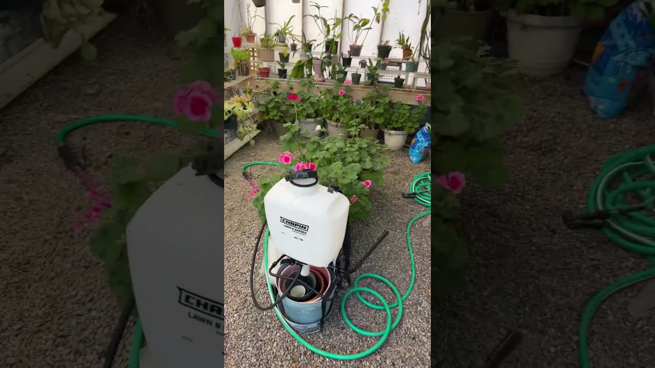 Greenhouse gems
