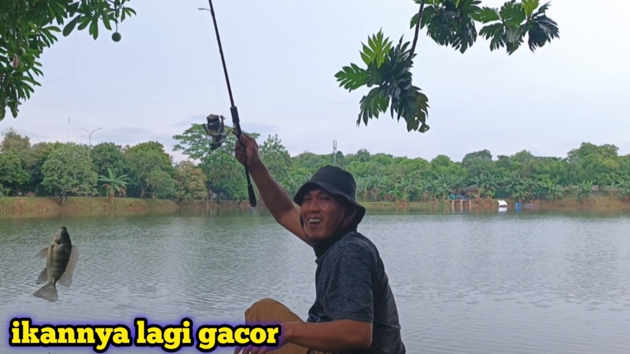 Ikannya lagi gacor