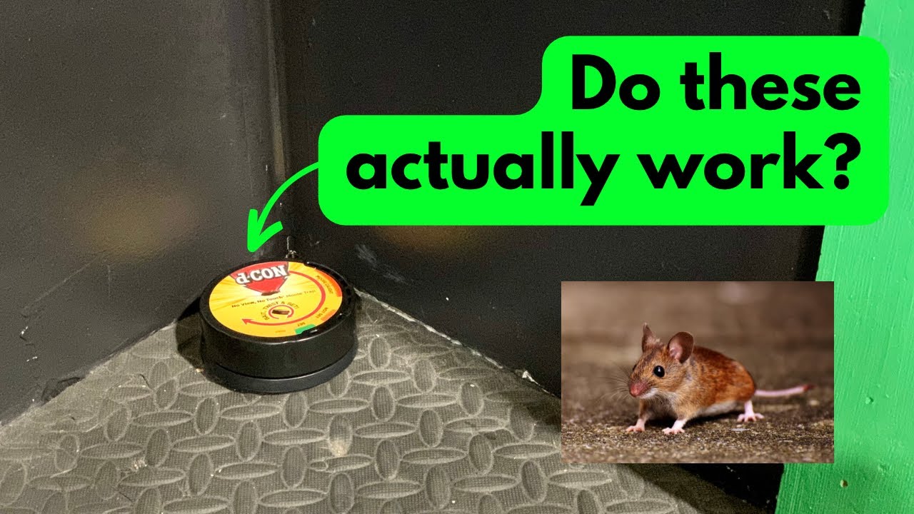 D-Con No View Mousetrap Review
