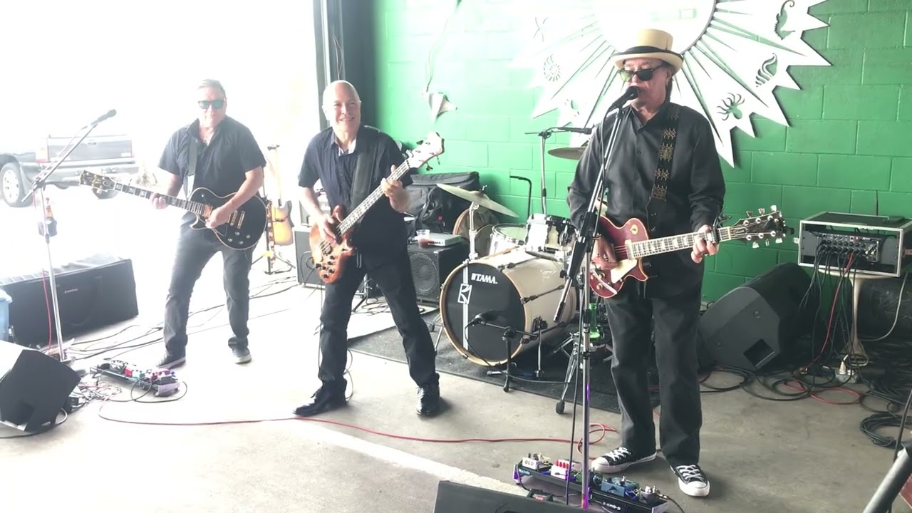 The Fabulous Von Zippers ~ Paint It Black (The Rolling Stones)