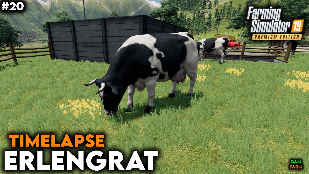 Purchase of 20 cows, fertilization, weeding & sale of silage bale - FS19 Timelapse (Erlengrat) | #20