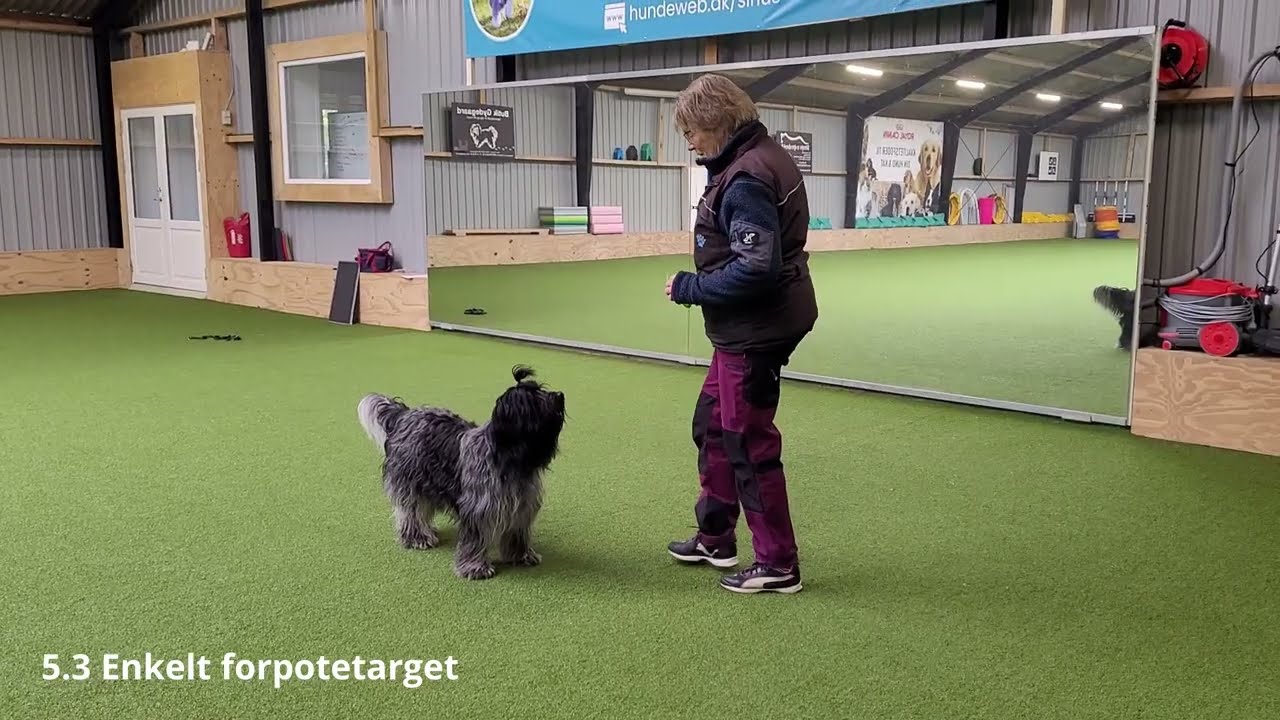 Sirius Target Challenge