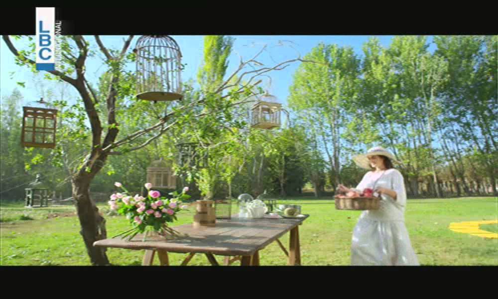 LBCI  - New Look & Feel - Green