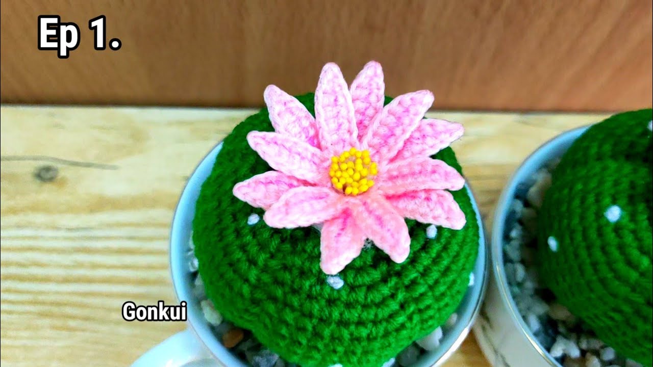 Crochet flower |Crochet Cactus Lophophora ,Beginners can knit❤️Ep1.flower #crochetflower #crochet