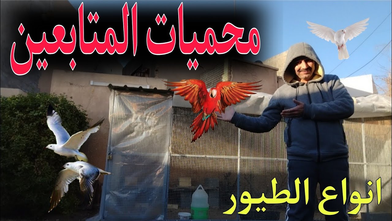 #طيور_الزينة  تصوير محميات المتابعين انواع الطيور