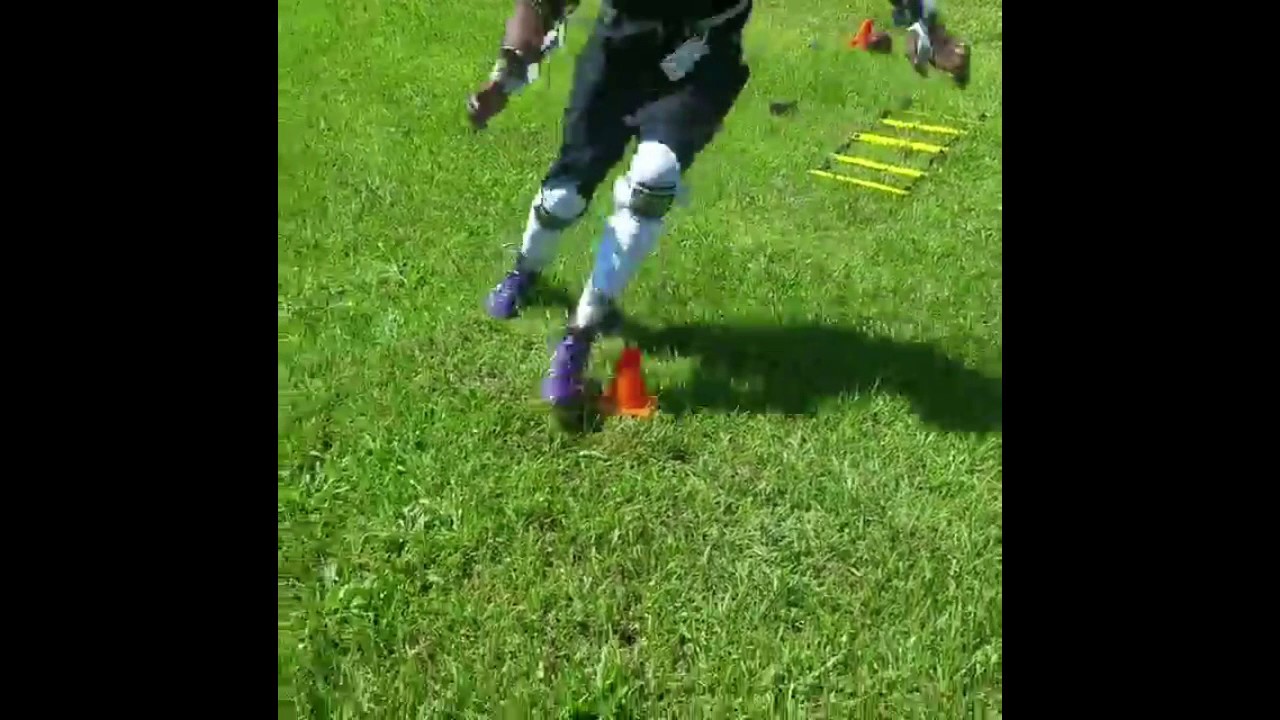 Baltimore Ravens Safety Lardarius Webb 2017 Offseason Workout