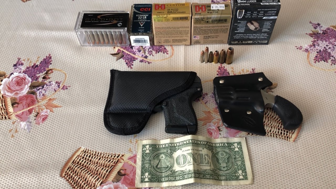 North American NAA pug￼ vs Ruger LCP￼