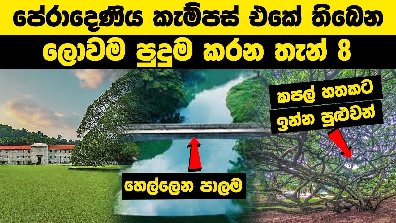 පේරාදෙණිය කැම්පස් එකේ තිබෙන ලොවම පුදුම කරන තැන් 8 | University of Peradeniya #wishwadanuma #iq