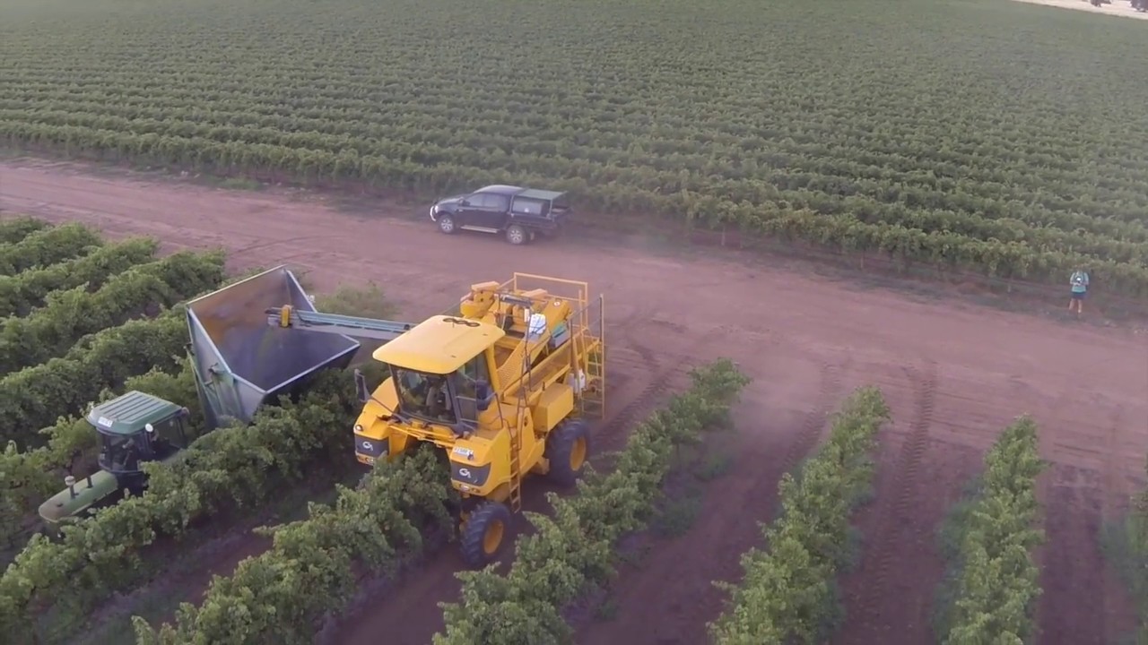 Riverina Wine Grape Harvest '14
