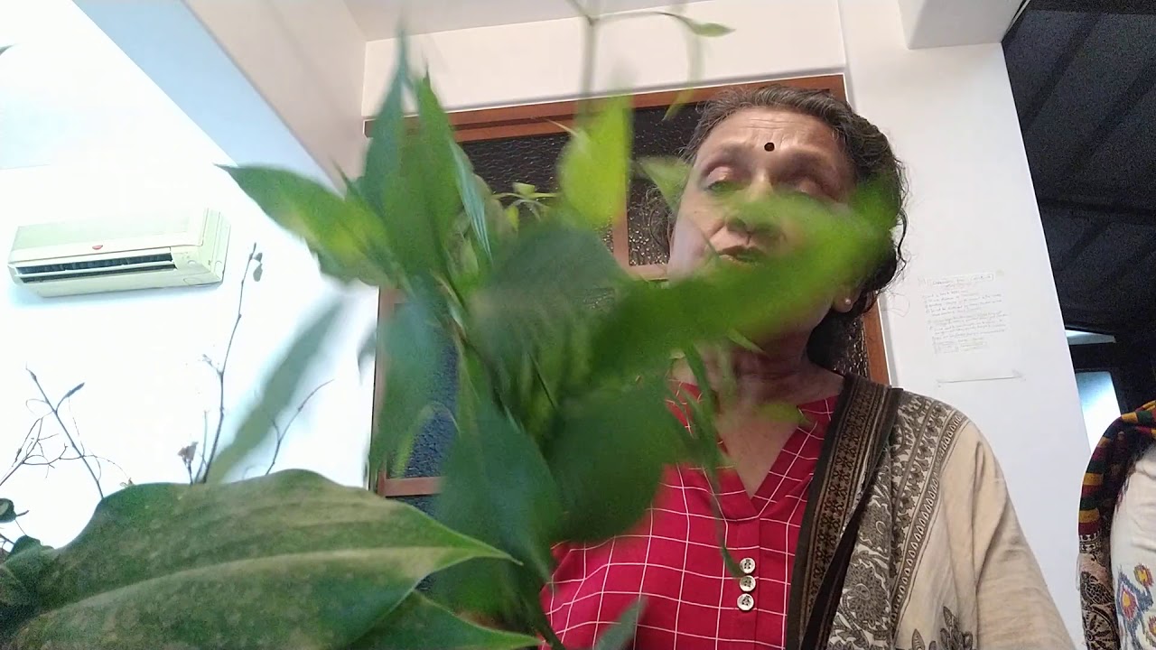 Naturopath Punam Jain on Home herbs value addition for small scale farmers.