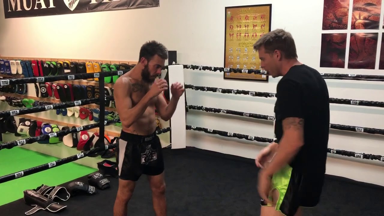 Lead Push Kick (Teep)